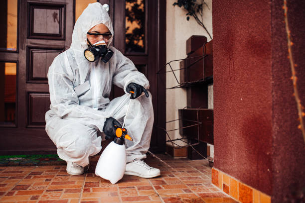 Reliable Wasp Removal contractor in Manville, NJ by Show Me Pest Control